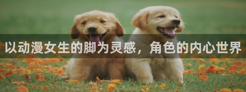火影91动漫