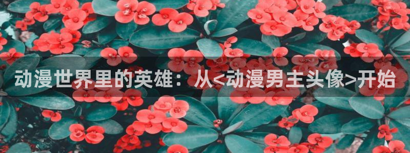 91动漫app