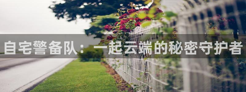 免费观看91动漫