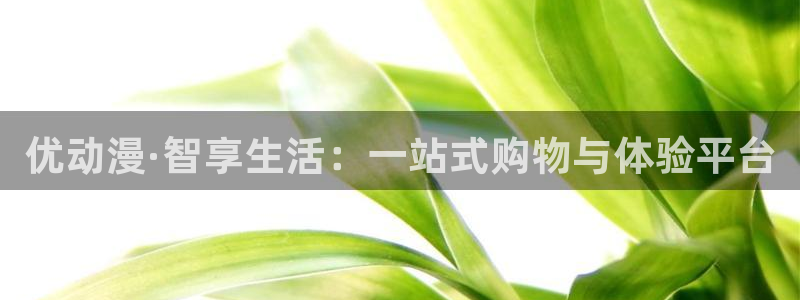 91动漫第一页