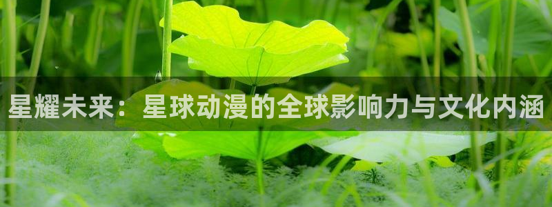 91动漫头像：星耀未来：星球动漫的全球影响力与文化内涵