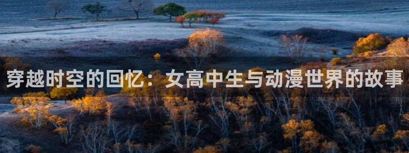 91动漫免费极速版大全：穿越时空的回忆：女高中生与动漫世界的故事